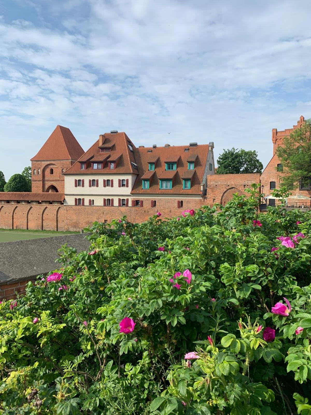 Apartament Krysztalowy Ac Progres Stary Toruń Exterior foto